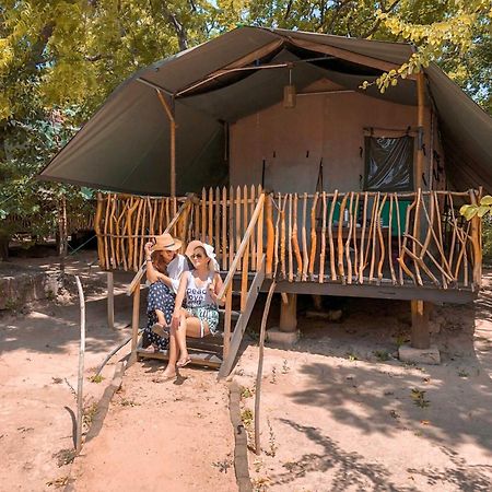 Hotel Camp Leopard - Yala Safari Glamping Exteriér fotografie