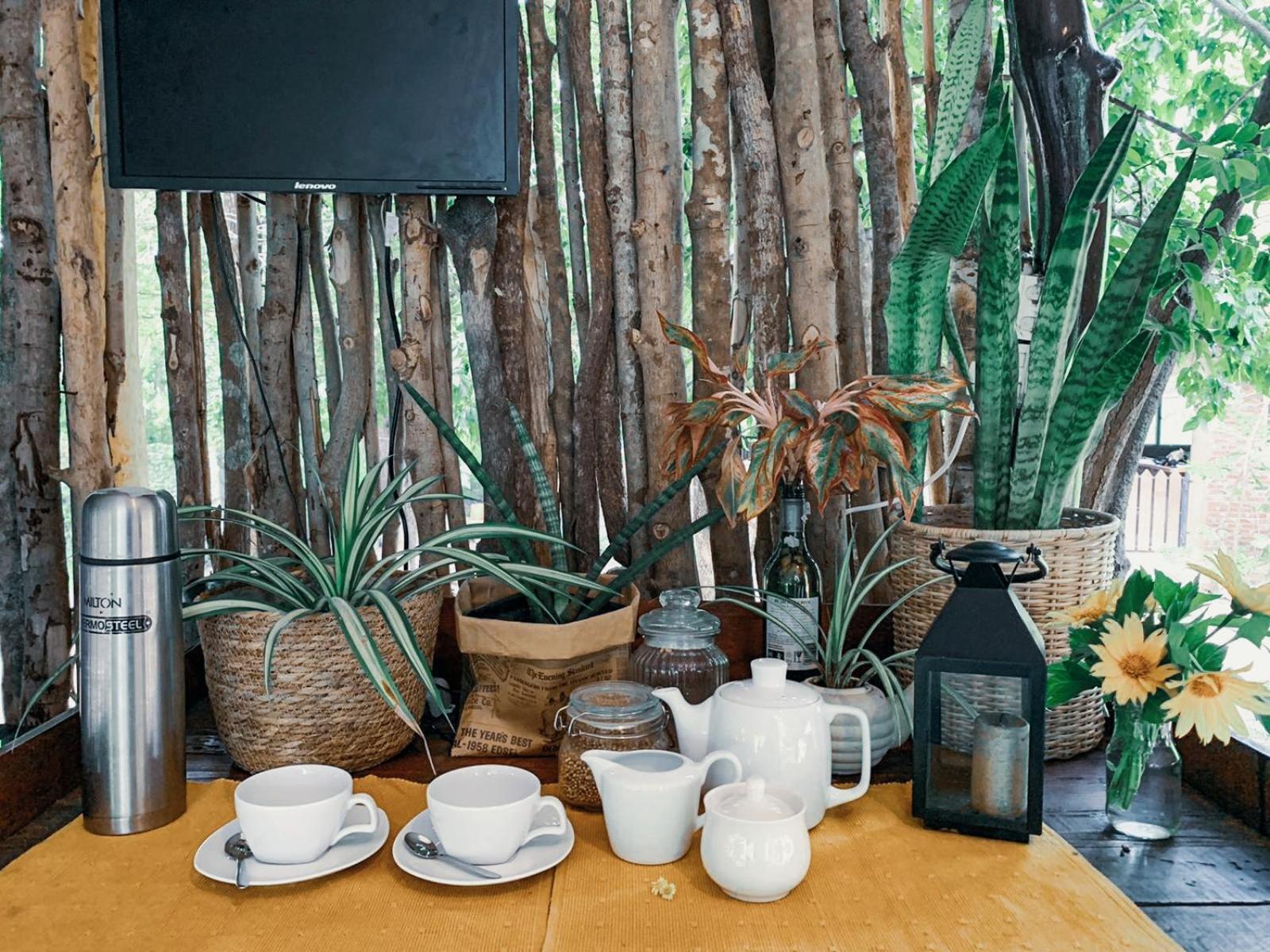 Hotel Camp Leopard - Yala Safari Glamping Exteriér fotografie
