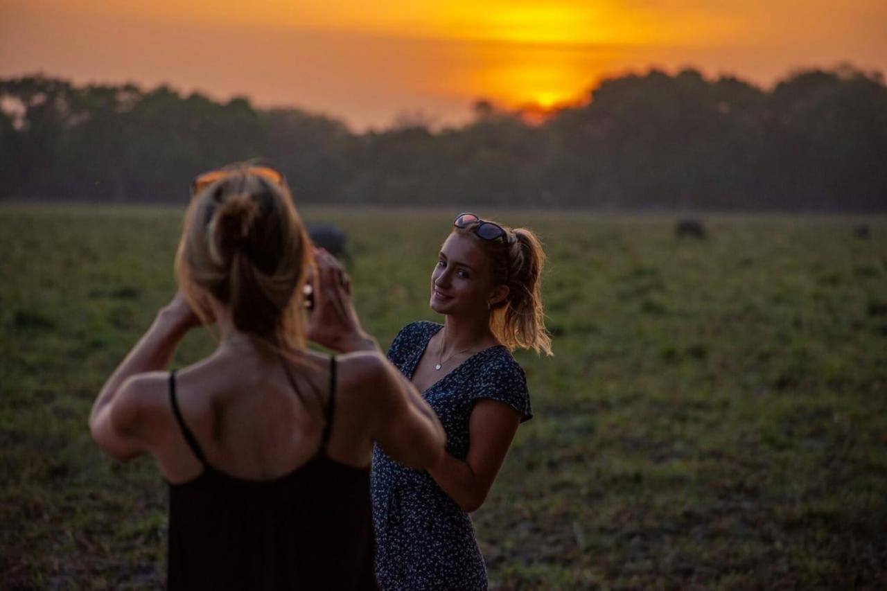 Hotel Camp Leopard - Yala Safari Glamping Exteriér fotografie