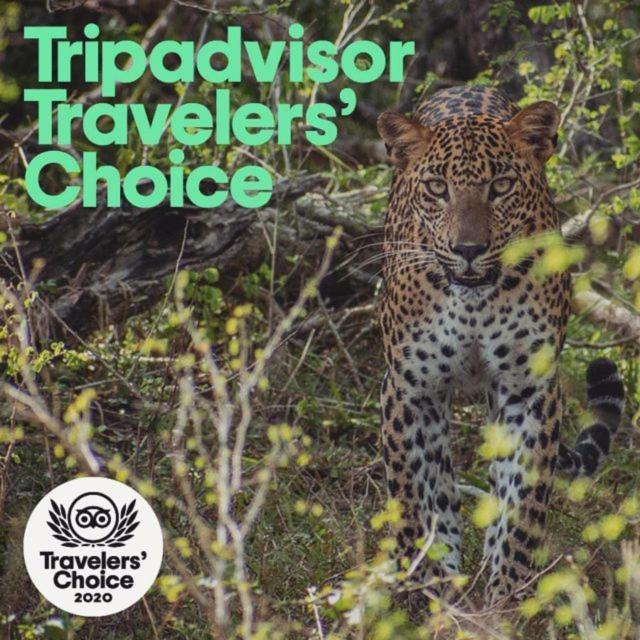 Hotel Camp Leopard - Yala Safari Glamping Exteriér fotografie