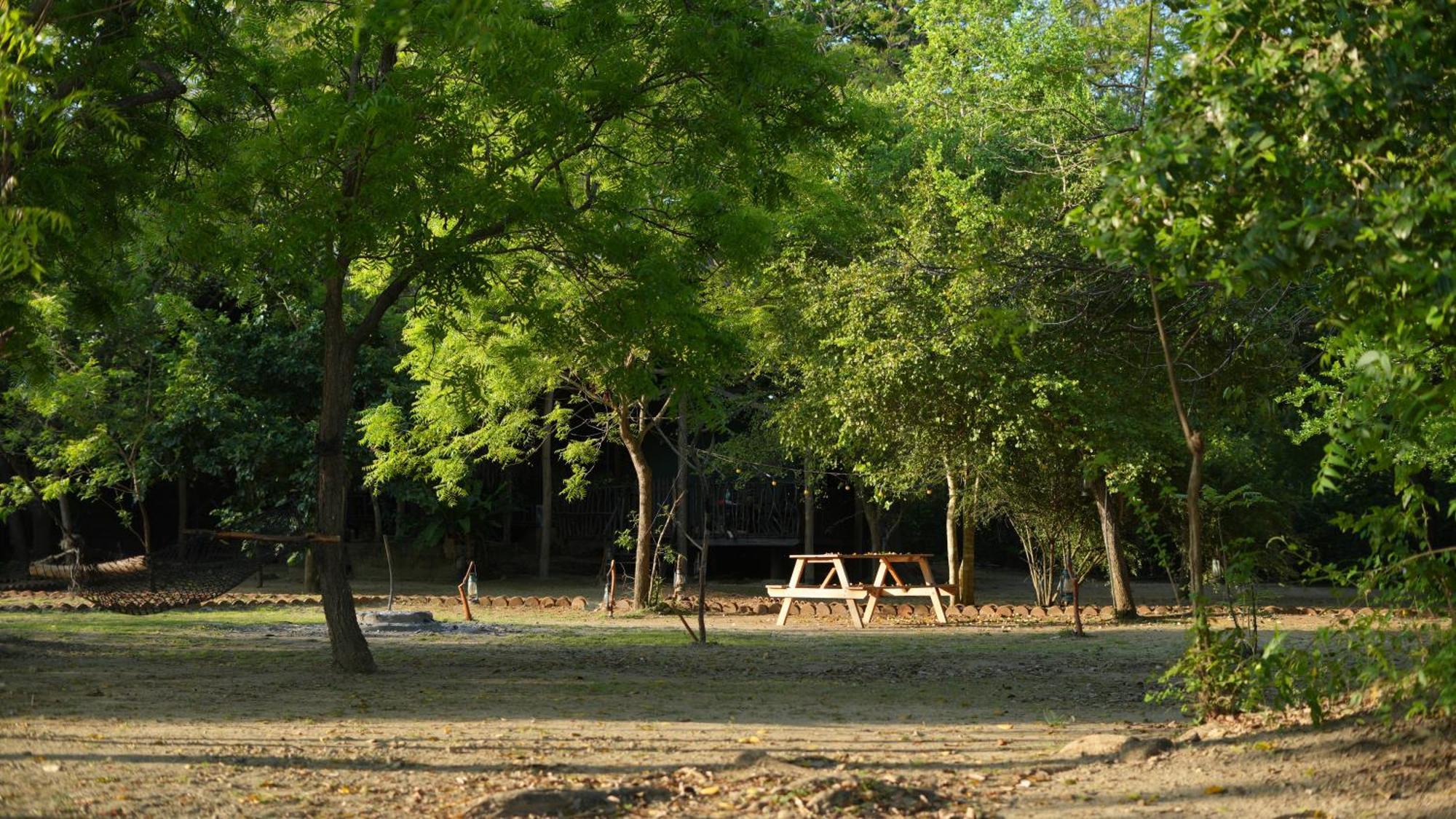 Hotel Camp Leopard - Yala Safari Glamping Exteriér fotografie